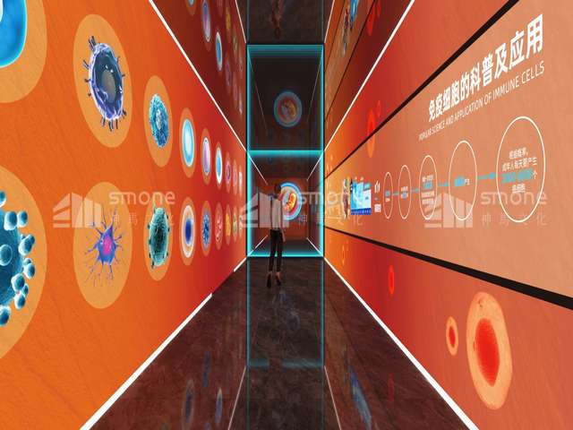 盐城京师环宇出国项目管理制度